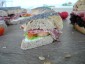 Bagel Salami