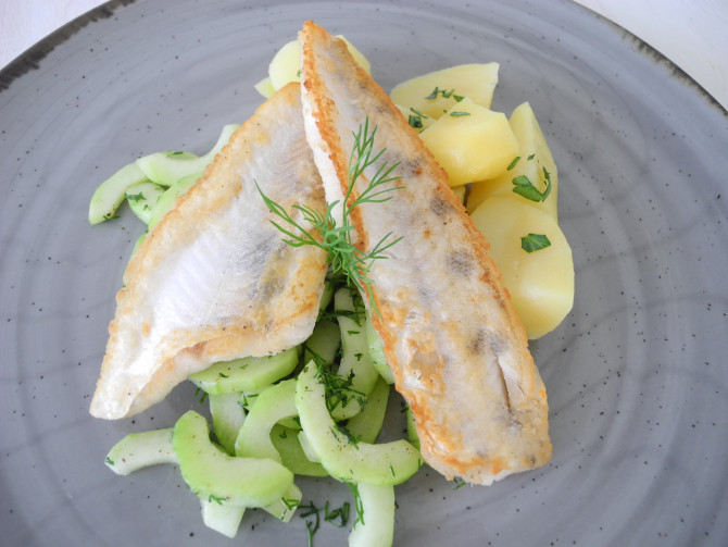 Zander mit Gurken-Dillgemüse und Petersilienkartoffeln