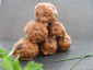 Fingerfood cold & warm, Package