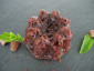Gugelhupf Schokolade vegan