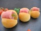 Mini Brioche Rohschinken